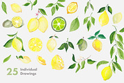 Lemons & Limes Watercolor Collection, a Decorative Illustration by Spirit of Colors (Thumbnail 3 of 6)