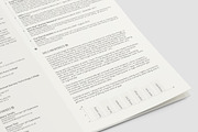 The Professional 2 (PSD + WORD DOC), a Resume Template by Valeur Design (Thumbnail 2 of 3)