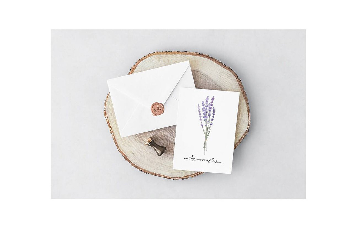 Lavender watercolor flower clipart., a Decorative Illustration by NKTKNS (Photo 7 of 7)