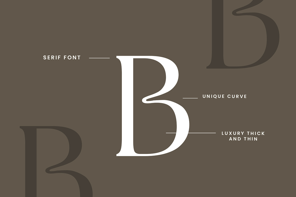 Silvania Modern Serif Font, a Serif Font by UICreative (Photo 2 of 12)