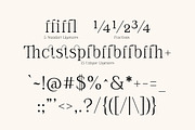 Asvata a Elegant Serif, a Serif Font by Lettertype Studio (Thumbnail 10 of 13)