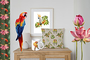Watercolor tropical birds, an Illustration by IrynaPanashii (Thumbnail 10 of 11)