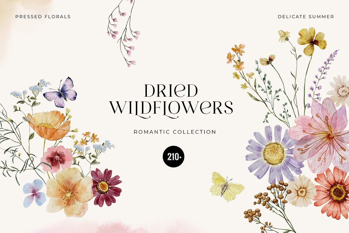 Dried Wildflowers - watercolor flora, an Illustration by SunnyAfternoons (Photo 1 of 15)