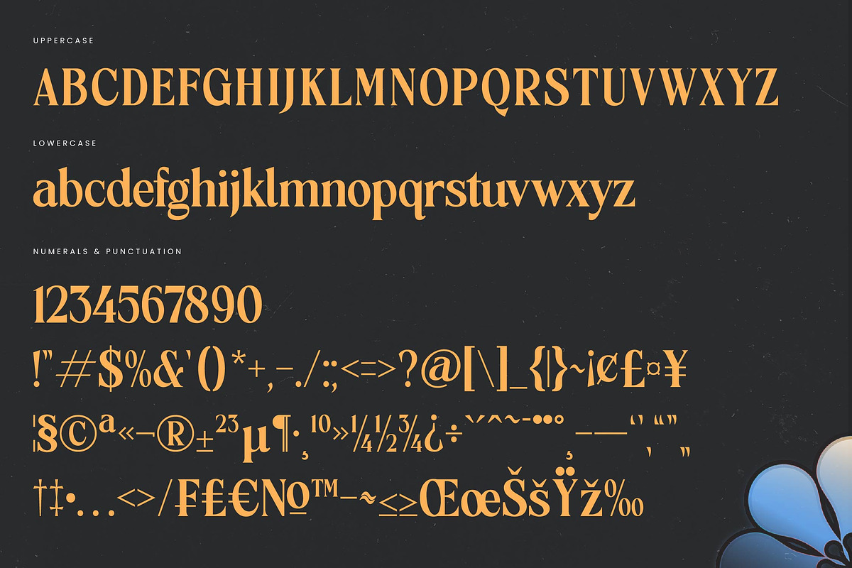 Vitoria Bold Tall Serif Display Font, a Serif Font by timelesstype.co (Photo 18 of 20)