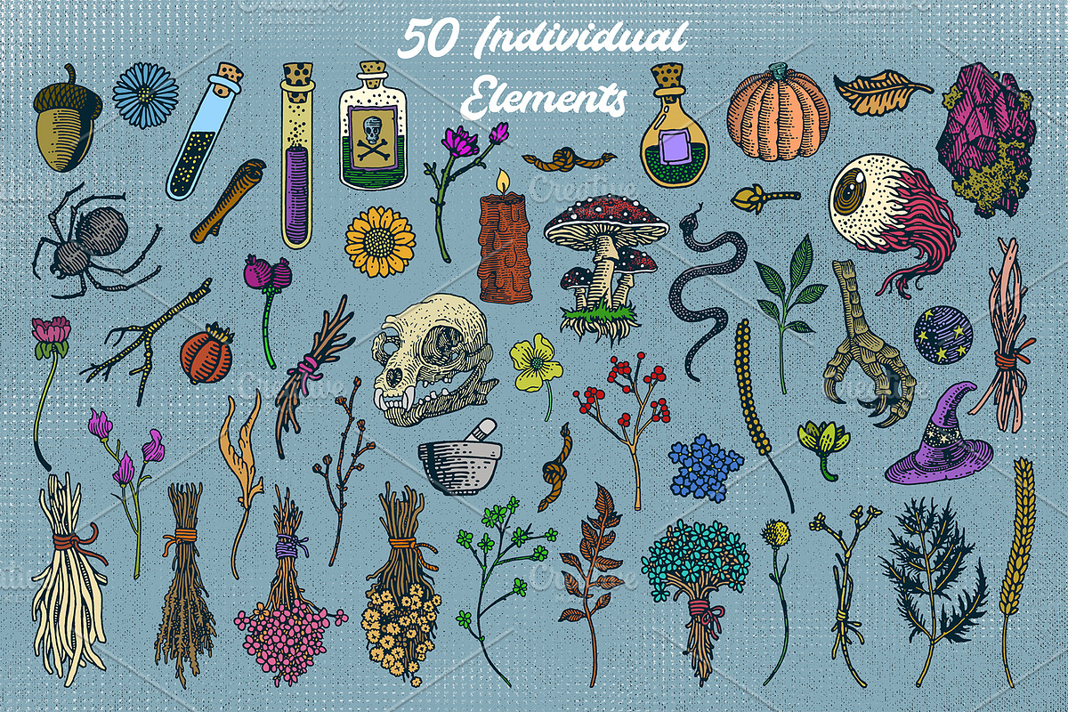 Apothecary Doodles, an Illustration by Soir Creative (Photo 6 of 7)