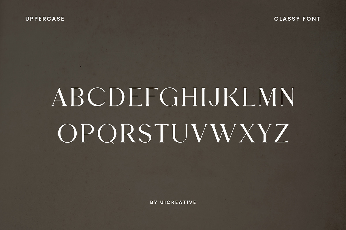 Vigosamine Luxury Serif Font, a Serif Font by UICreative (Photo 11 of 12)