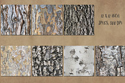 Tree bark and wood textures, a Texture Graphic by Paper Farms (Thumbnail 2 of 3)