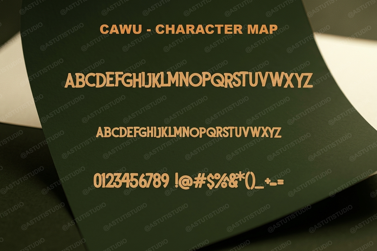 Cawu - Elegant Minimalist Serif, a Serif Font by Astuti Studio (Photo 3 of 25)