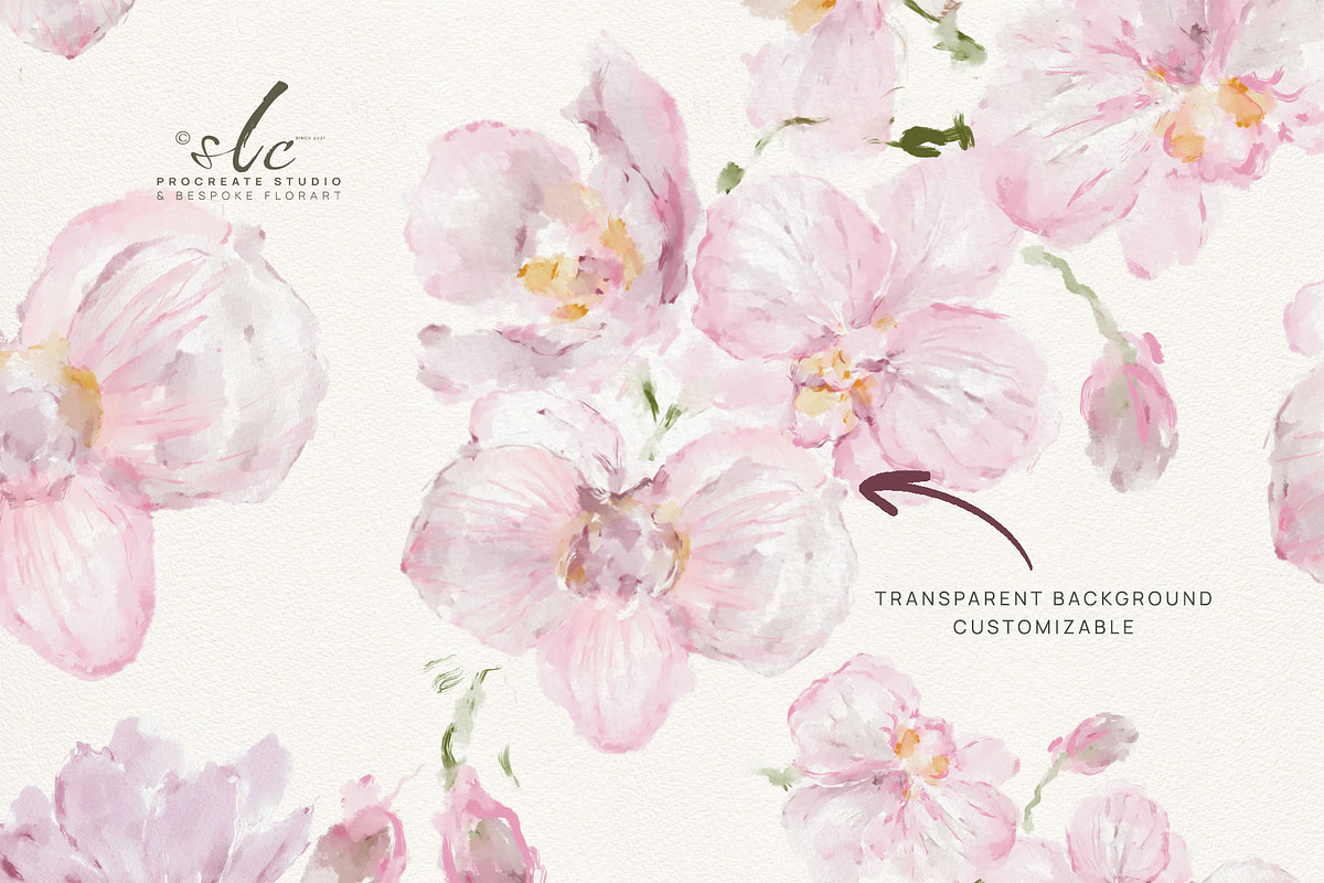 Pink Orchid Phalaenopsis Art, an Illustration by slowlivecreate (Photo 6 of 7)