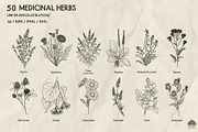 Medicinal Herbs line art + Procreate, an Illustration by Skliarova (Thumbnail 3 of 5)