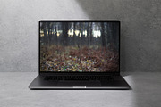 Autumn nature photography set, a Nature Photo by pictures for you (Thumbnail 14 of 22)