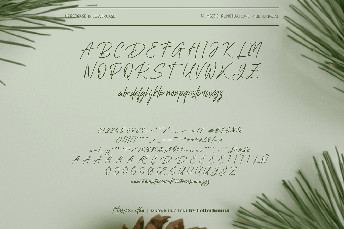 Hesperantha Font, a Handwritten Font by Letterhanna Studio (Photo 8 of 9)