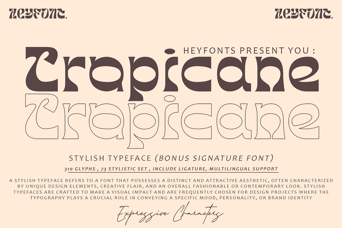 Tropicane - Stylish Typeface, a Font by HeyFonts (Photo 1 of 12)