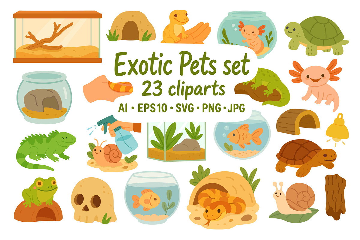 Cute Exotic Pets Clipart Set, an Animal Illustration by ananastya (Photo 1 of 3)