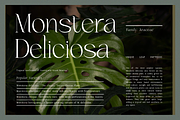 Brikelia Minimalist Fashionable Font, a Serif Font by roomspace creative lab (Thumbnail 3 of 12)