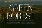 Rankim || Modern Classy Serif Font, a Serif Font by Ermedia Studio (Thumbnail 9 of 10)