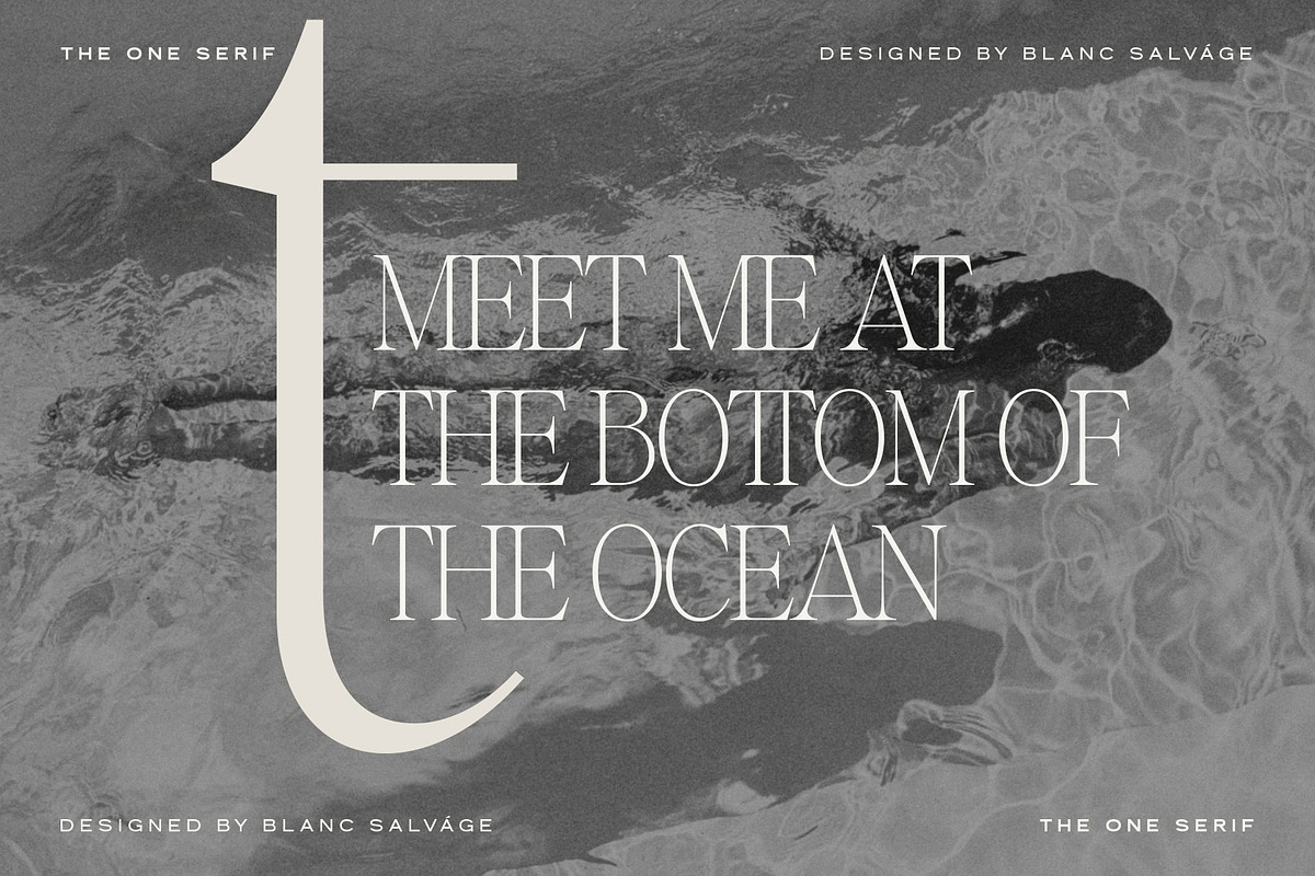 The One Editorial Serif, a Serif Font by Blanc Salváge (Photo 3 of 18)