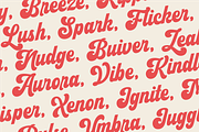 Helvira - Bold Script, a Script Font by ahweproject (Thumbnail 9 of 12)