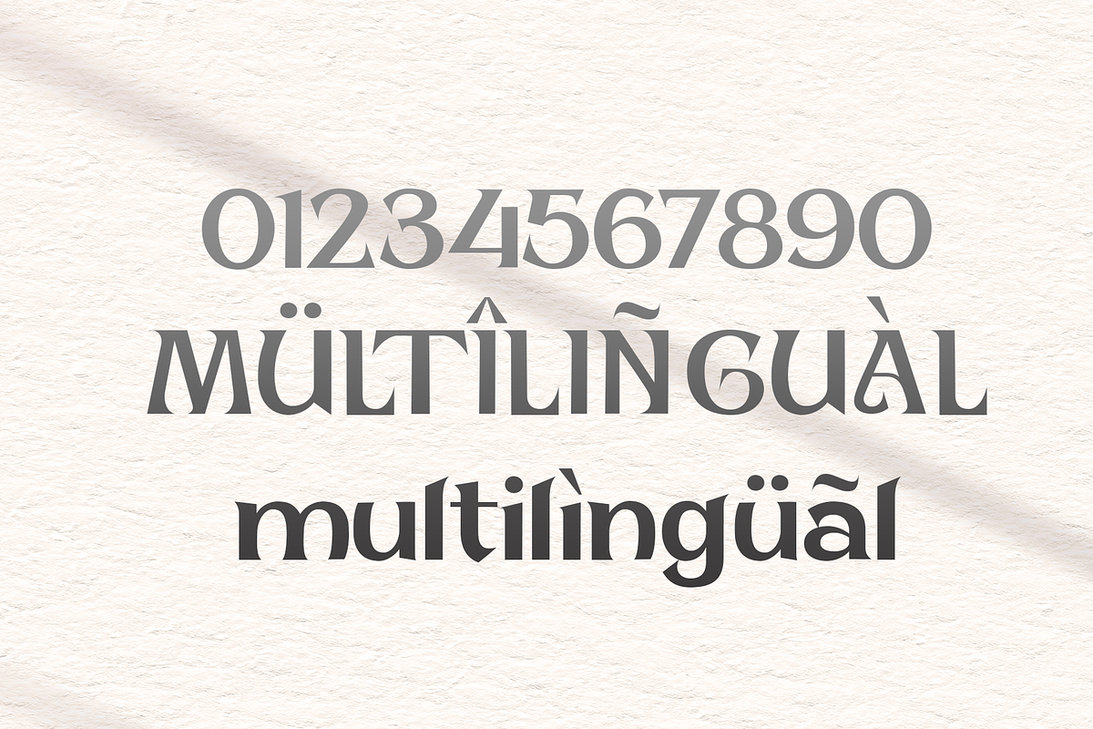 Morica - Unique Display Font, a Serif Font by overlaytemplates (Photo 5 of 5)