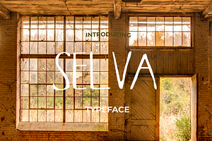 Selva Hand Typeface