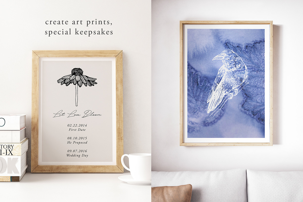 Murmurations and Other Magic, a Texture Illustration by Barn Owl Studio (Photo 11 of 16)