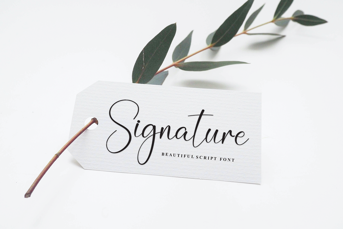 California | Script Font, a Handwritten Font by Scratchones (Photo 4 of 9)