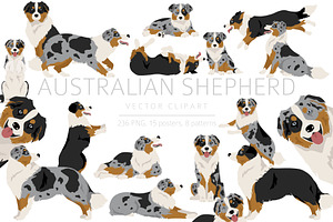 Australian Shepherd Dog Clipart