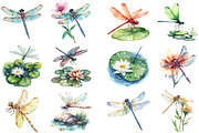 Watercolor Dragonfly Clipart, an Illustration by Pixels.Craft (Thumbnail 2 of 5)