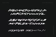 Rebel Brush - Handwritten Font, a Handwritten Font by Visual Blends (Thumbnail 5 of 7)