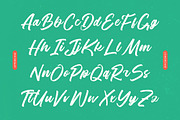 Balista Modern Brush Font, a Script Font by Letterena Studios Script (Thumbnail 9 of 15)