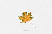 Watercolor fall leaves, an Illustration by DigitalDream (Thumbnail 4 of 5)