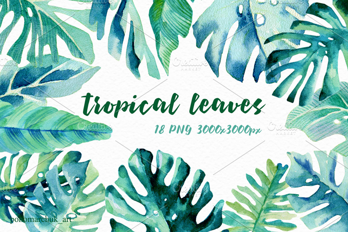 Tropical leaves set, a Decorative Illustration by Colibri Watercolor (Photo 1 of 3)