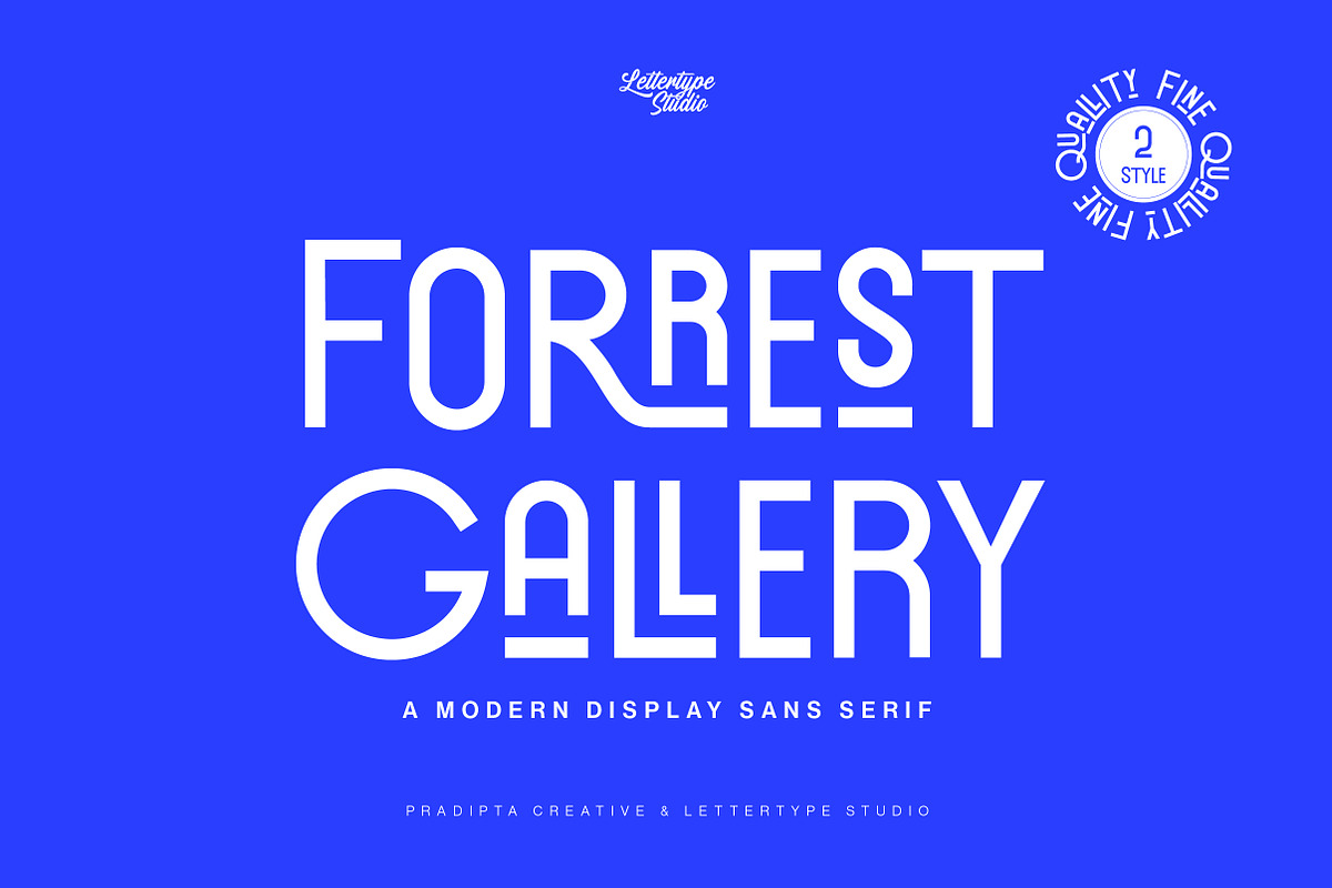 Forrest Gallery Modern Display Font, a Sans Serif Font by Lettertype Studio (Photo 1 of 15)