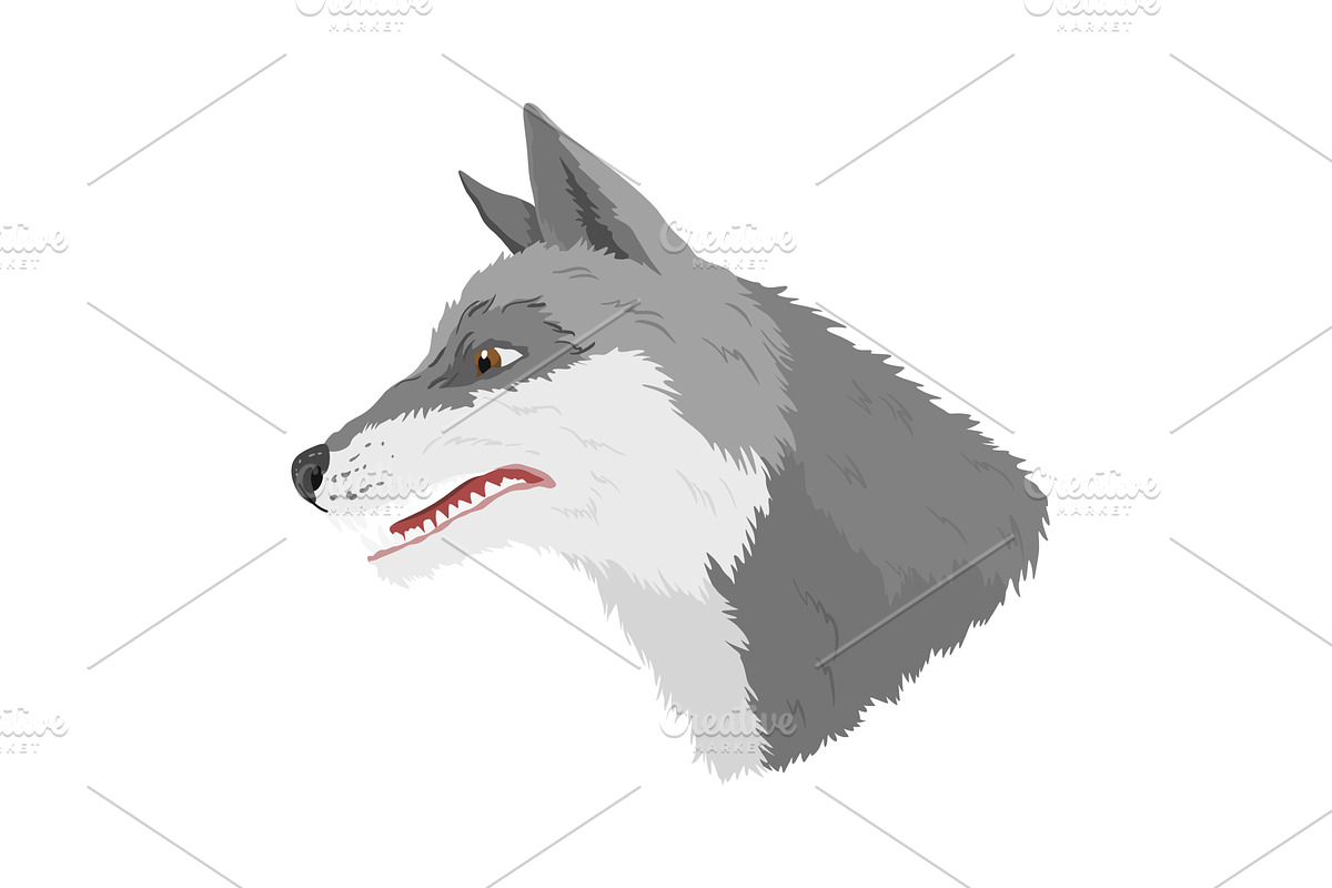 Gray wolf. A predatory beast. Wild, an Animal Illustration by the8monkey