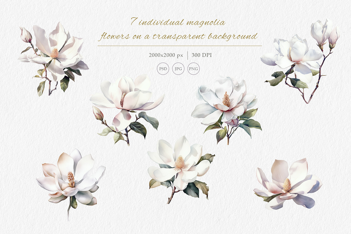 Watercolor Magnolia Patterns, a Pattern Graphic by Holovei (Photo 5 of 10)