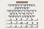 The New Memory, a Serif Font by TM Type (Thumbnail 14 of 17)