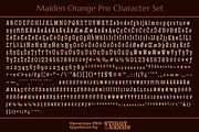 Maiden Orange Pro, a Serif Font by Stiggy & Sands (Thumbnail 5 of 5)
