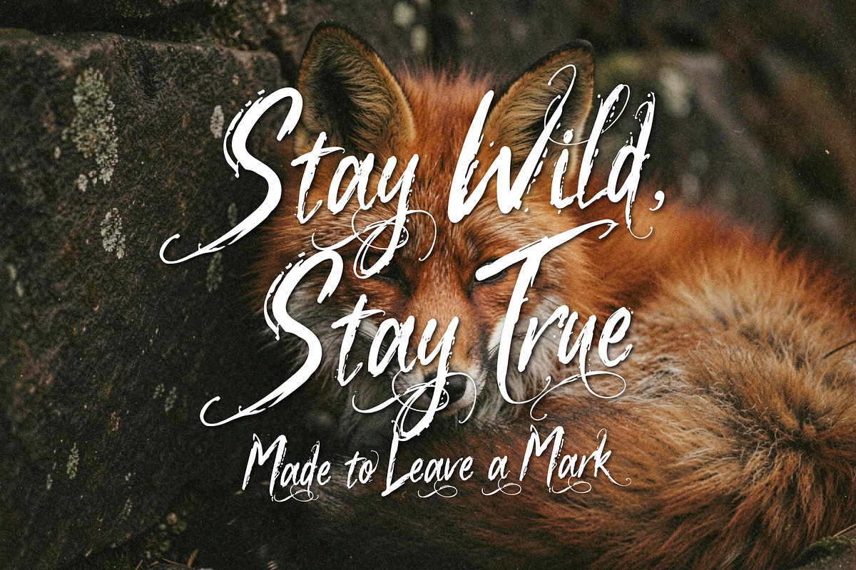 Eurama Ultura - Expressive Script, a Handwritten Font by HypeWorksCo (Photo 12 of 17)