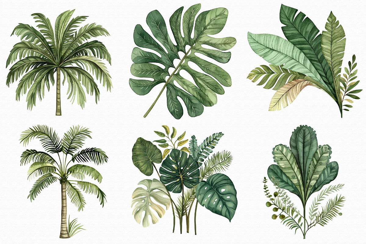 Watercolor Palm Tree Clipart, an Illustration by Libby Wishes (Photo 5 of 7)