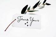 Something Exquisite script font, a Script Font by Ana's Fonts (Thumbnail 7 of 9)