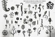 Mystic Botanical & Nature Relics, an Object Graphic by Natali Batu (Thumbnail 7 of 12)