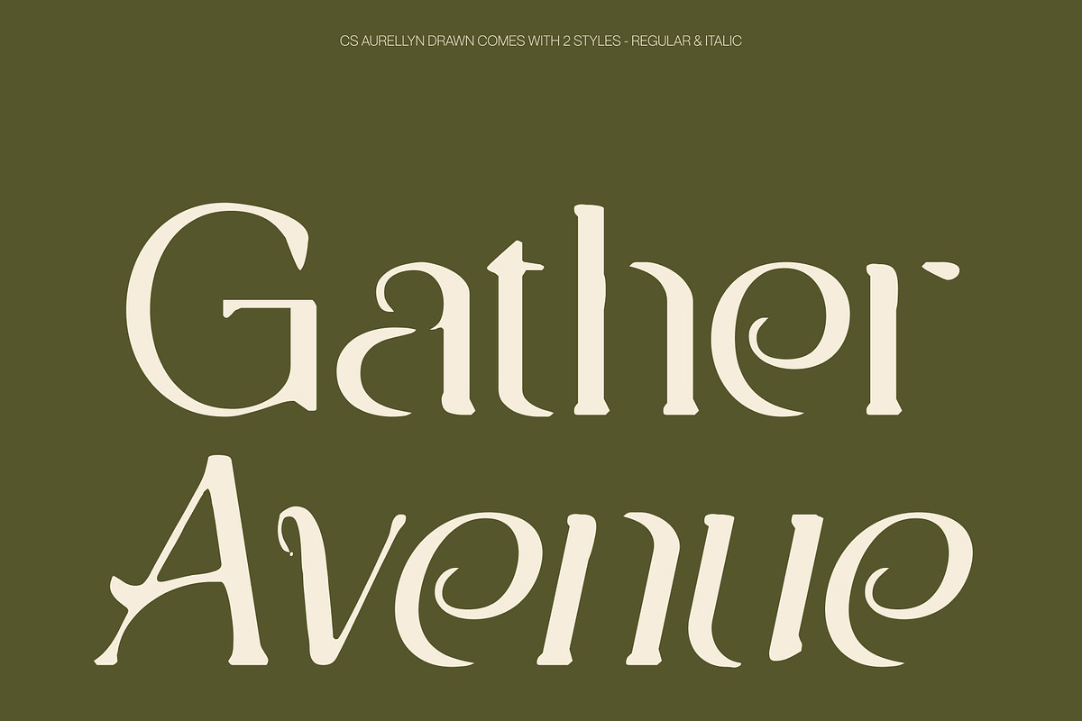 CS Aurellyn Drawn, a Serif Font by Craft Supply Co. (Photo 4 of 8)