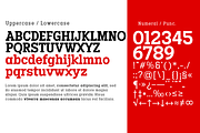 Codename FX, a Slab Serif Font by Differentialtype (Thumbnail 3 of 10)