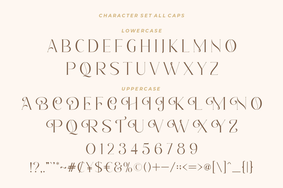 Romantic Serif - Elegant Classy Font, a Font by HansCo Studio (Photo 11 of 15)