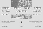 Novarick, a Serif Font by din-studio.com (Thumbnail 3 of 16)