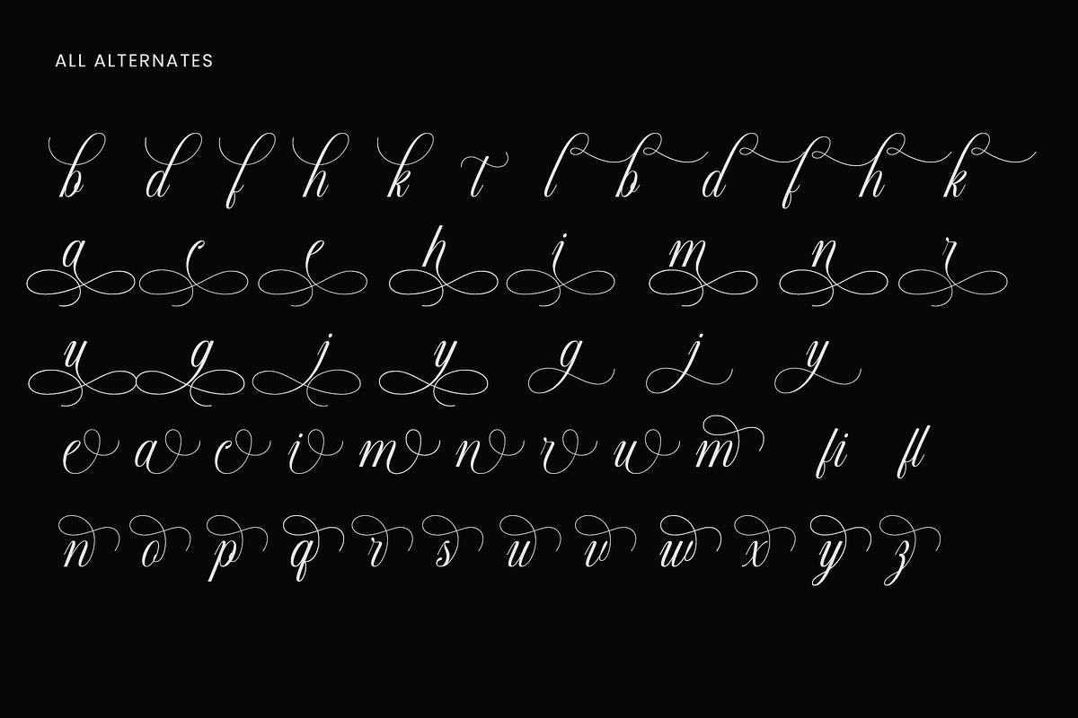 Blorivelle | Elegant Script Font, a Script Font by Typoraith Co (Photo 10 of 10)