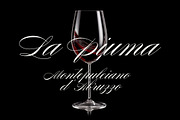 Graziosa Script Font, a Script Font by Corina Moscu (Thumbnail 10 of 10)