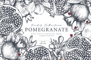 Pomegranate Fruit Vector Set, a Food Illustration by Molly art