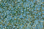 3 Hand Marbled Papers Seaweed, a Texture Graphic by Marblingdom (Thumbnail 2 of 4)