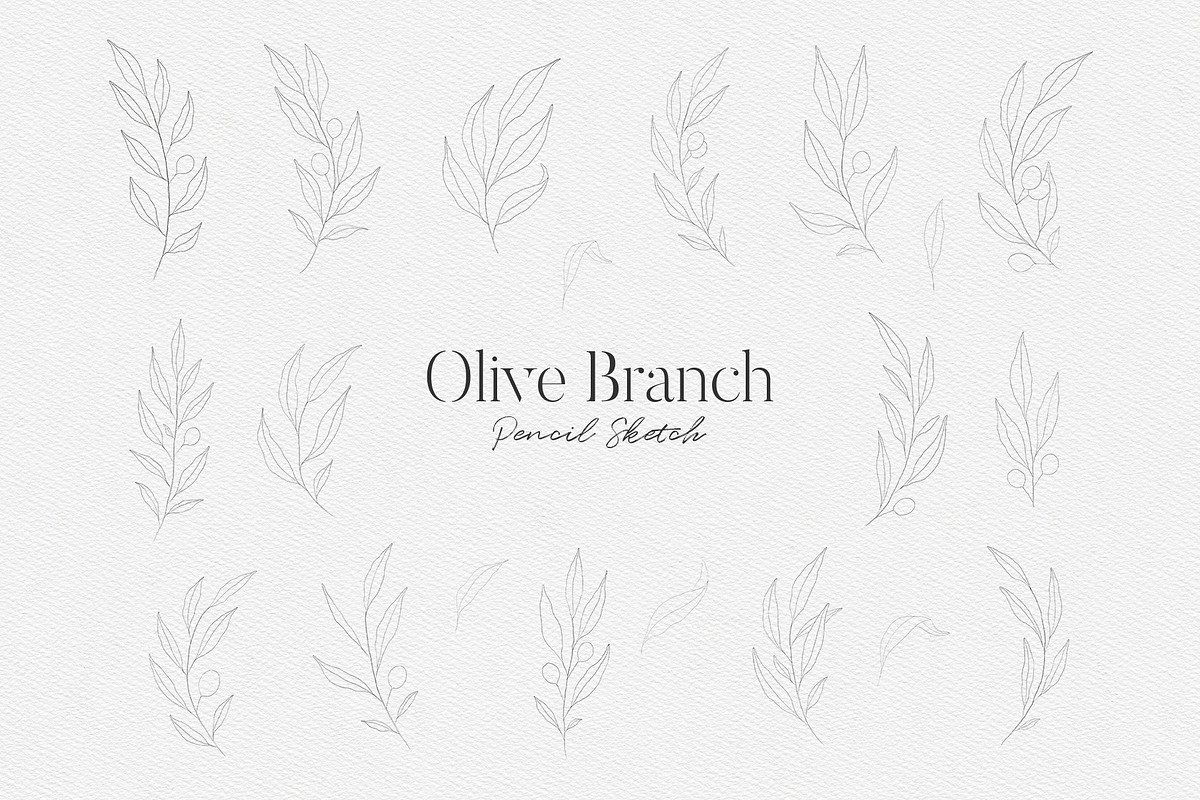 Watercolor Olive Branches Leaves, an Illustration by Creatchees.std (Photo 10 of 13)